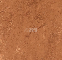 Линолеум Forbo Marmoleum Marbled Real 2767 Rust фото 1 | FLOORDEALER